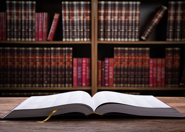 Court Record Search Services Delhi