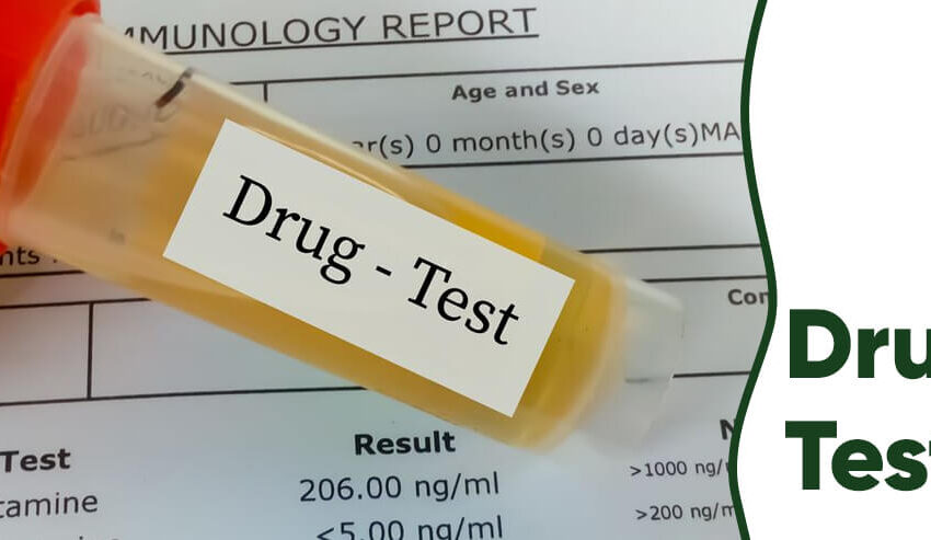 Drug Testing- A Necessity For A Safer Workplace